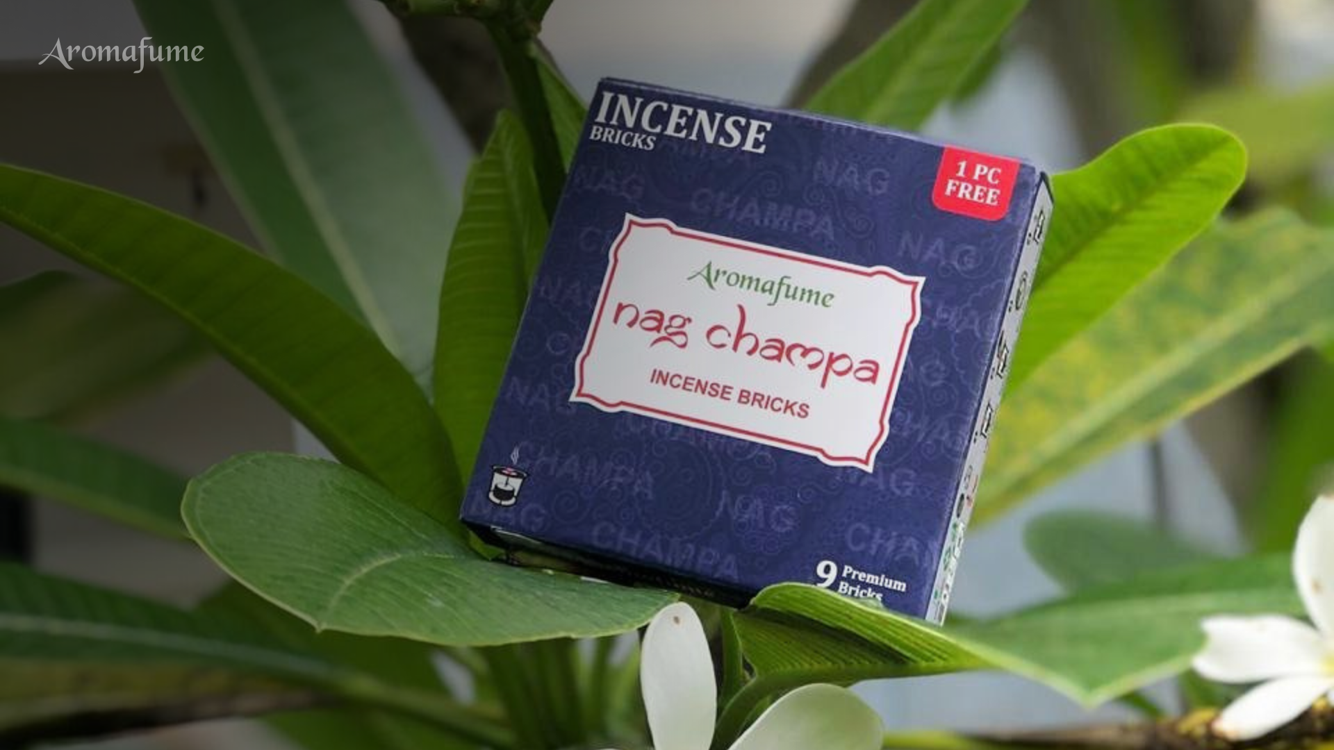 Nag Champa - CA