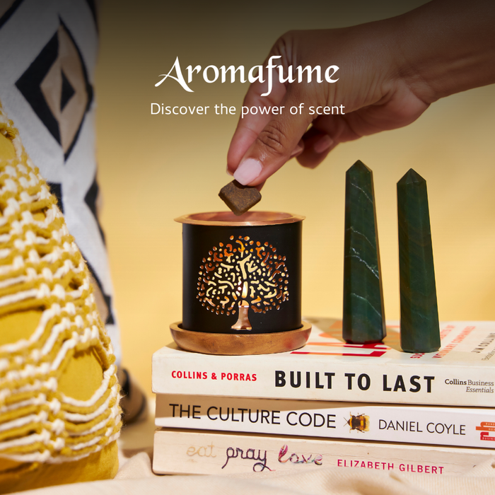 Palo Santo & Cinnamon Incense Bricks and Burner Set