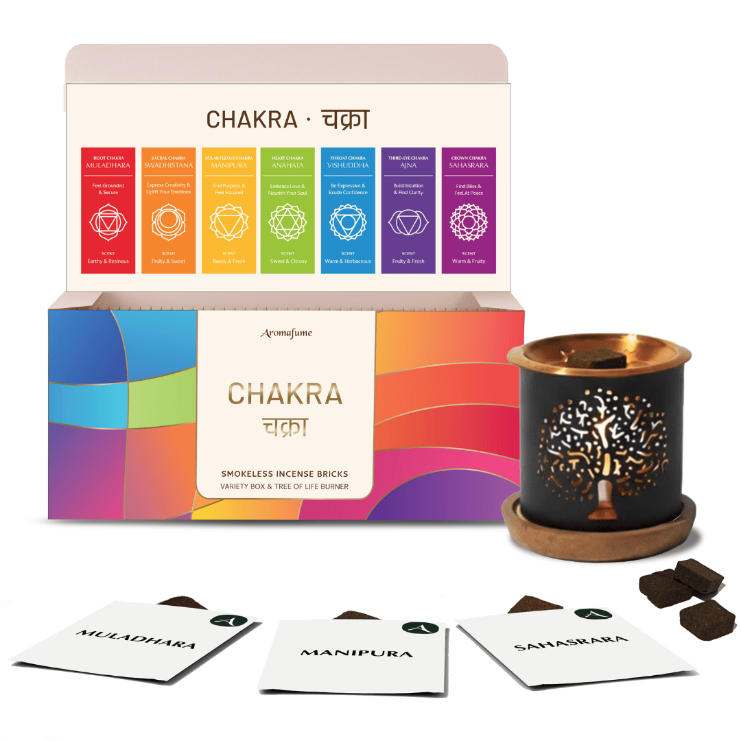 7 Chakra Incense Bricks Gift Set & Starter Kit