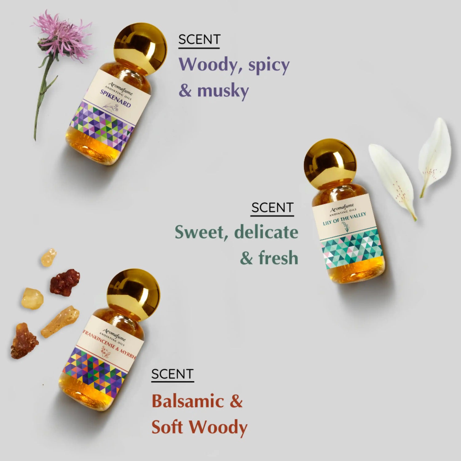 Scent Profile - Woody, Musky, Delicate, Fresh and soft woody