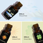 Citrusy, floral, woody, fresh & spicy scent notes of Clear Horizons Oils – uplifting, grounding & energizing.