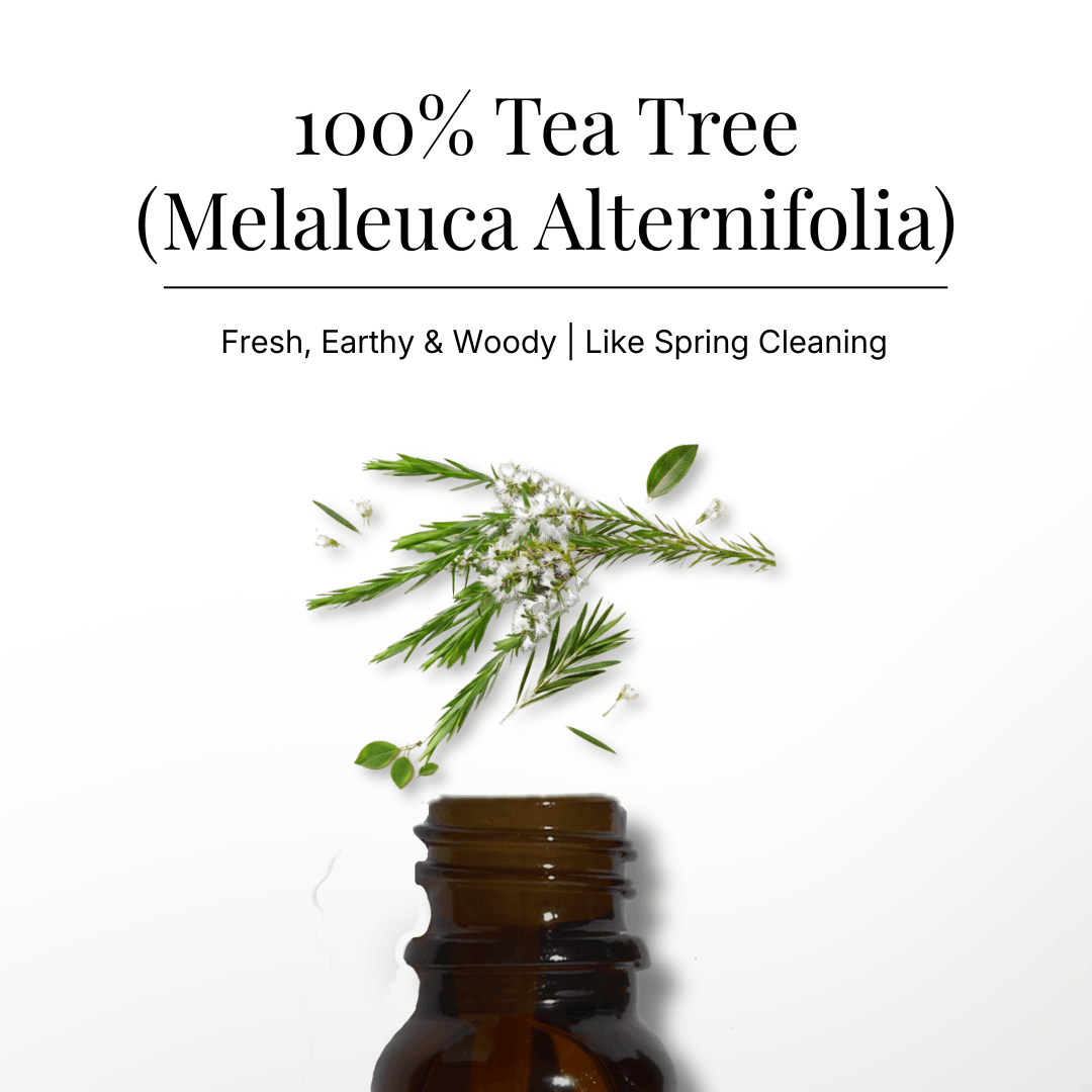 Tea Tree Pure Essential Oil