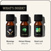 Set of 3 Fortune’s Favor Oils – Blessings, Attract Money & Good Luck. Infused with herbs for fortune & success.