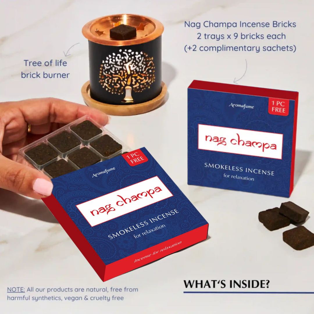 Whats inside the box 2 TRAYS 9 bricks & Tree of Life Brick Burner