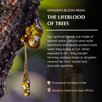 Dragon's Blood is found in Socotra in East Africa. They are known as the life blood of trees.