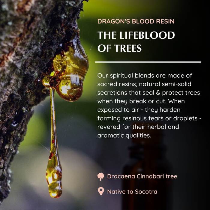 Dragon’s Blood Essential Oil