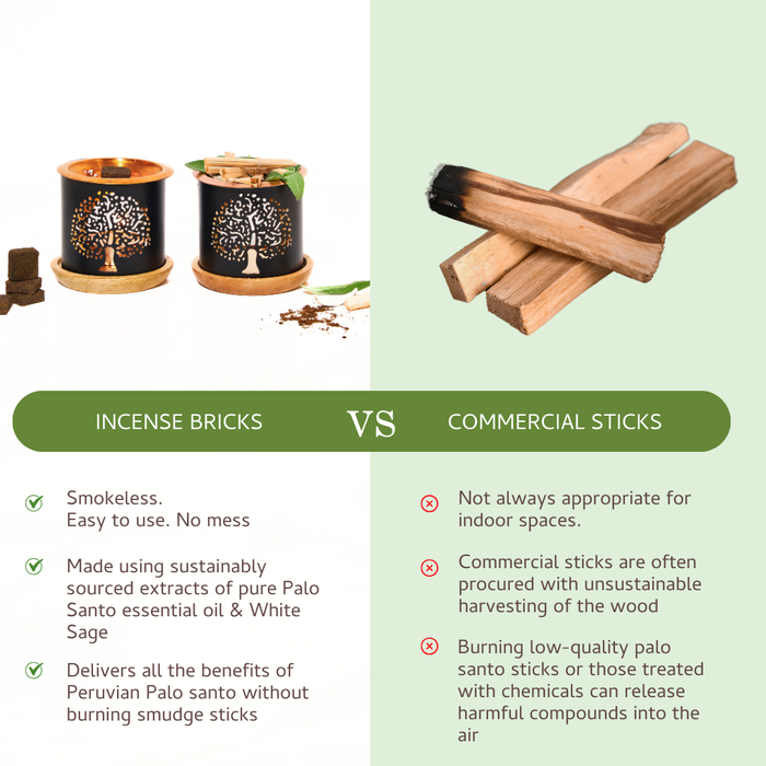 Palo Santo & White Sage Incense Bricks and Burner Set